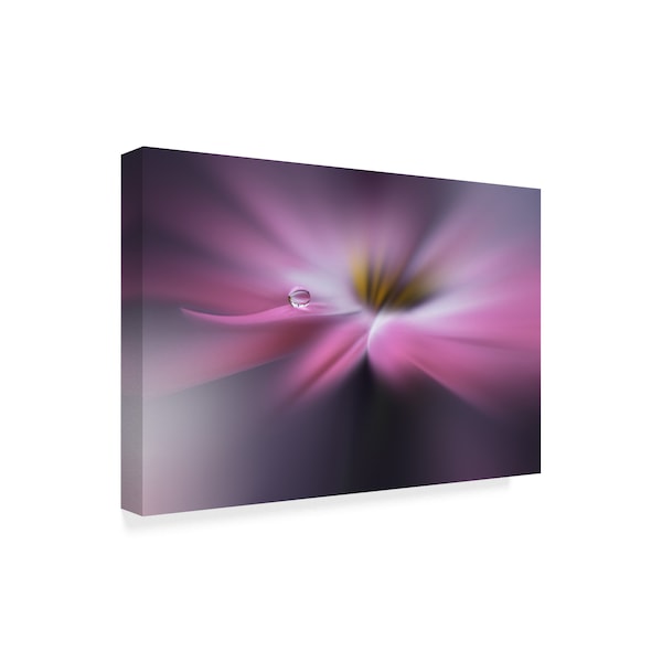 Juliana Nan 'Galaxy Pink' Canvas Art,30x47